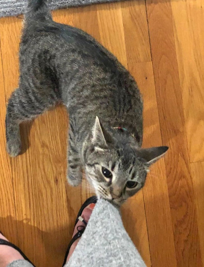 8. "Where do you think you're going?"