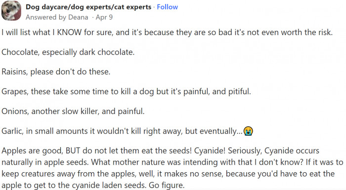 Dog owner discussing apple seeds, caution about quantity and dog size