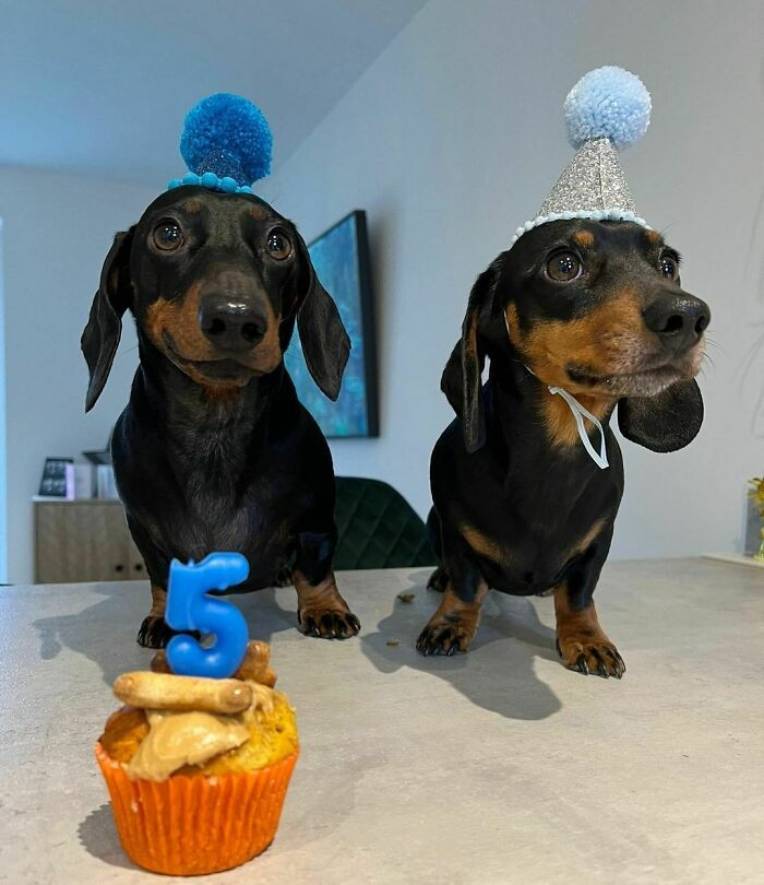 "Birthday Boys"