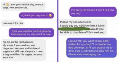 Redditor Posts Screenshots Of Entitled Karen, Who Tried To Buy Service Dog For A Paltry Sum, Gets Roasted Online