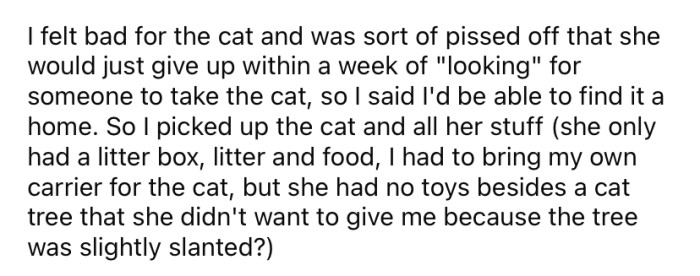 The OP felt bad for the poor cat and was annoyed with her sister for being so irresponsible, so she decided to take the cat and try to find it a home herself.