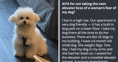 Lady Who Is Afraid Of Dogs Moves Into A Dog-Friendly Building And Screams Bloody Murder Every Time She Encounters A Dog In The Elevator
