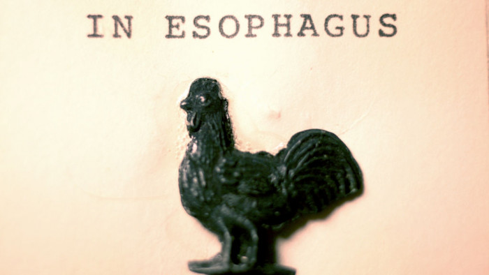 Toy rooster recovered from the esophagus of a young patient