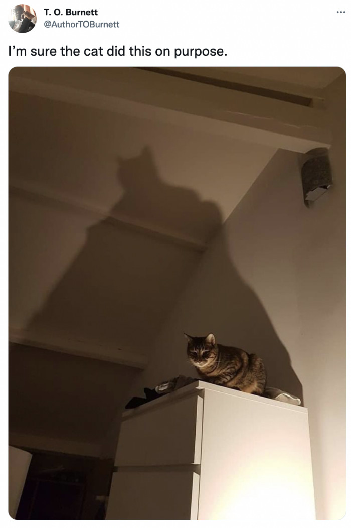 15. This human didn't pass the obvious test to be Alfred