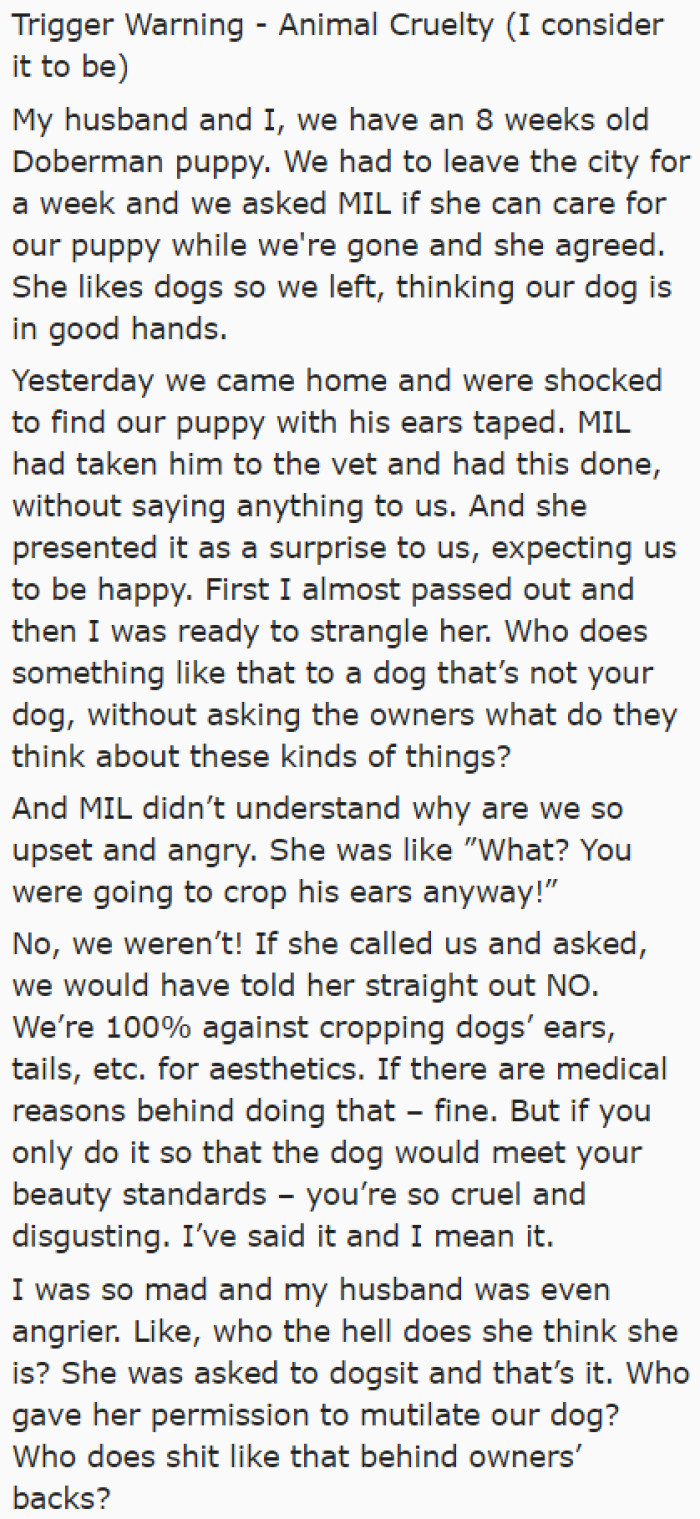 The original poster (OP) considers ear cropping animal cruelty. She is not in favor of dog ear cropping.