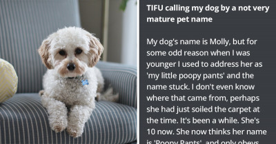 Dog Loves Silly Name More Than Her Actual Name And Would Probably Get Her Owner In Hilarious Situations