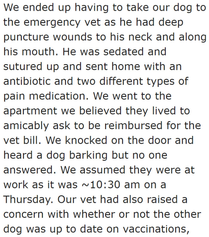 The poor doggo had to undergo a medical procedure because of its injuries.