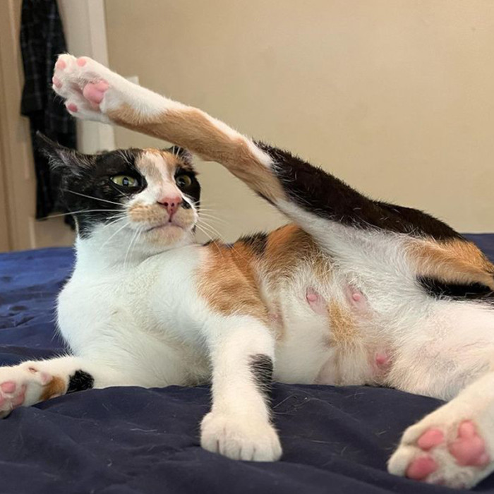 Chorizo stood out for her photogenic silliness