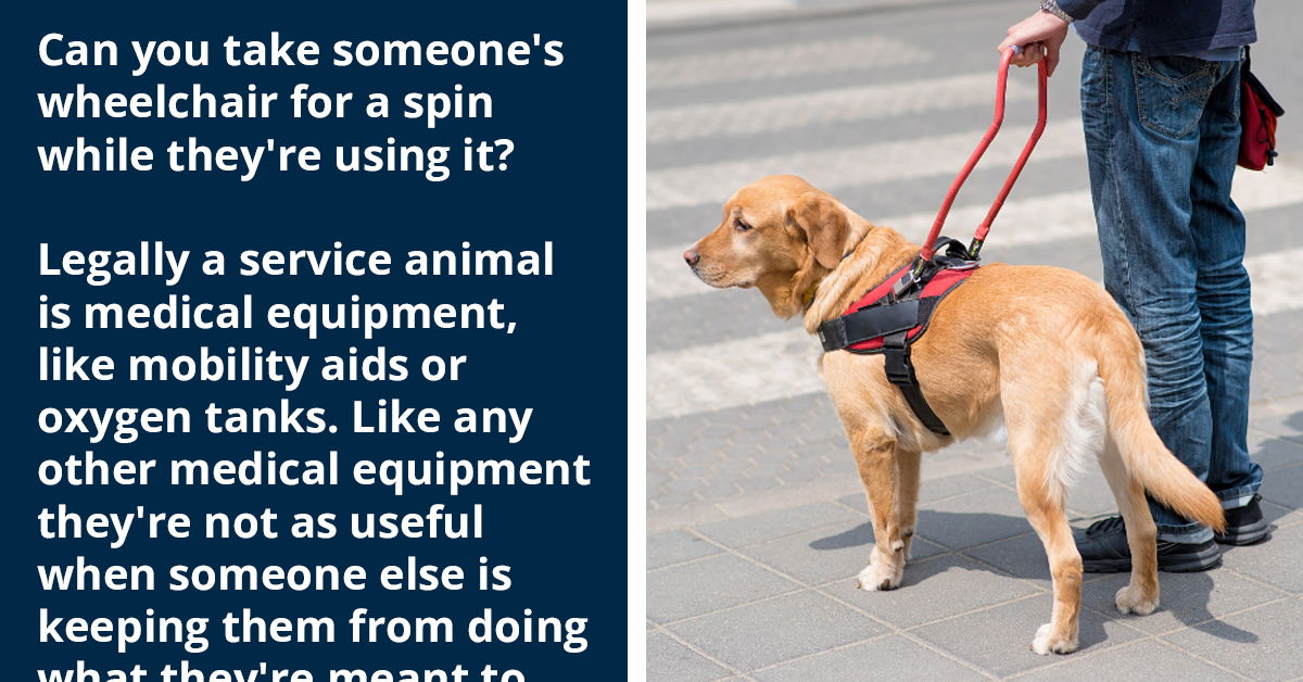 Online Community Discourages Canine Lover From Petting Guide Dogs
