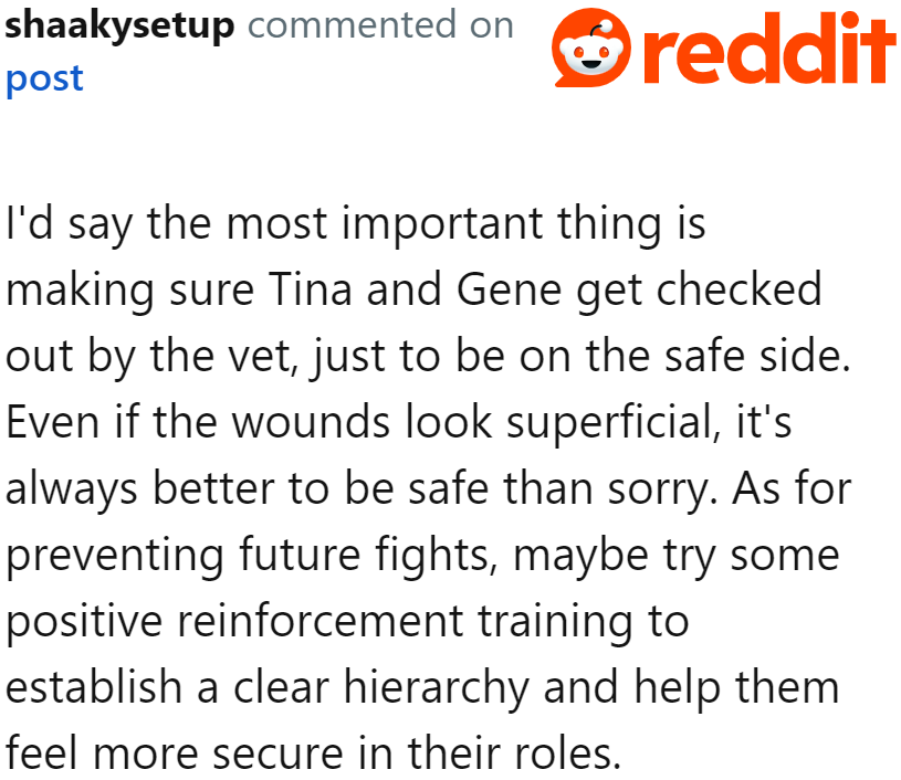 After the Fight, This Should Be the OP's Priority.