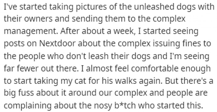 4. OP figured that the only way to change this situation was to start reporting the neighbors who were breaking the law.