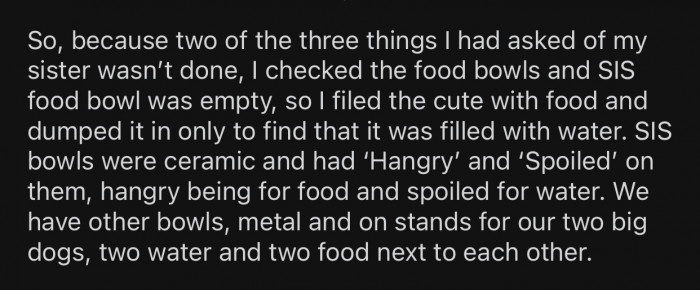 OP decided to double-check all the things she asked her sister to do, just to be sure.