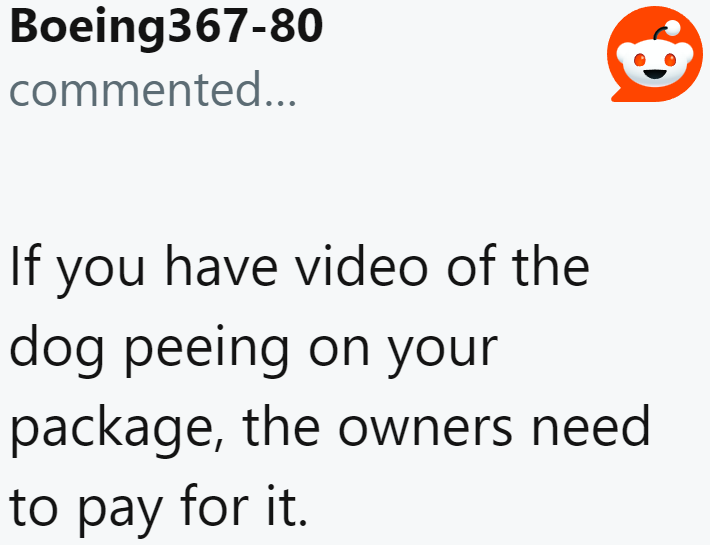 The OP has enough evidence that the dog urinated on her package. He needs to be held accountable.