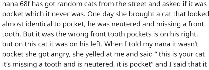 Her nana tried to find Pocket. One day, she brought a cat to OP, claiming it was Pocket. But something didn't add up.