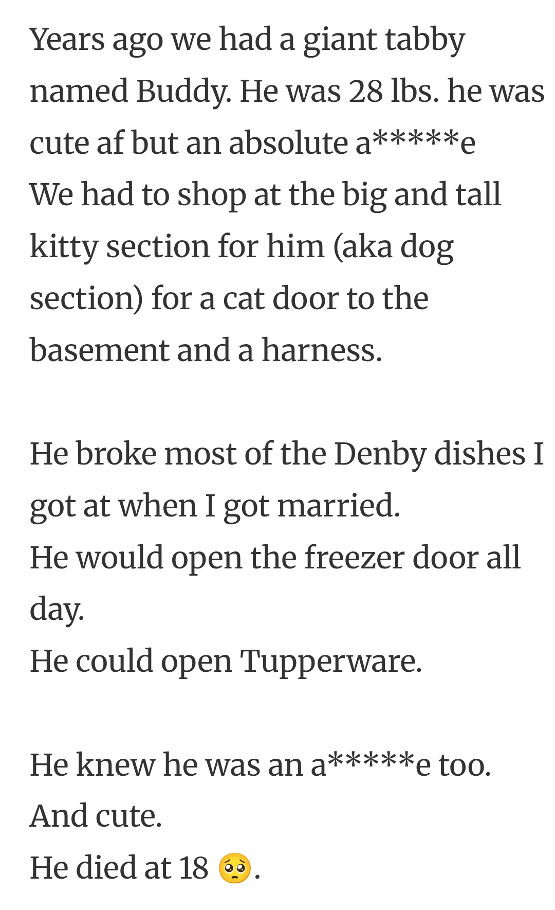 12. A giant tabby