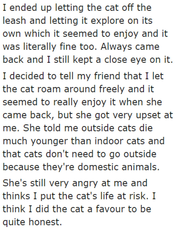 The OP thinks she's doing the cat a favor by letting it out off-leash.