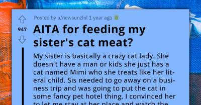 Cat Owner Demands Payment for Vet Bills After Her Sibling Fed Chicken to Her Pet Without Permission