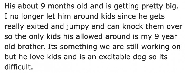 The dog is so large that it can knock kids down.