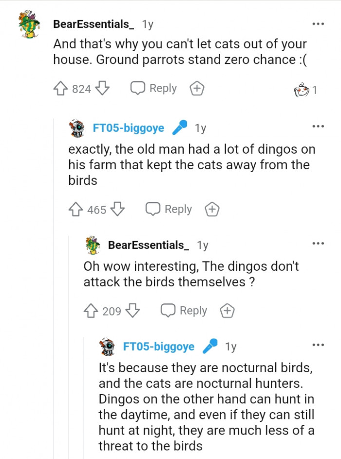 Ground Parrots stand zero chance