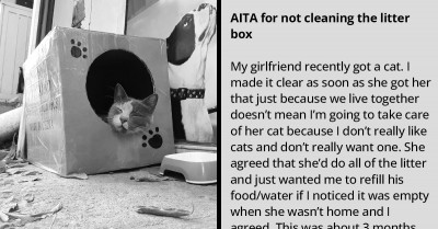 Man Refuses To Clean Litter Box For A Cat His Girlfriend Got Without His Approval, Gets Called Selfish