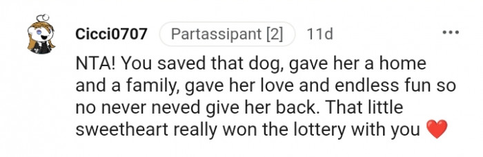 You gave the dog love and endless fun