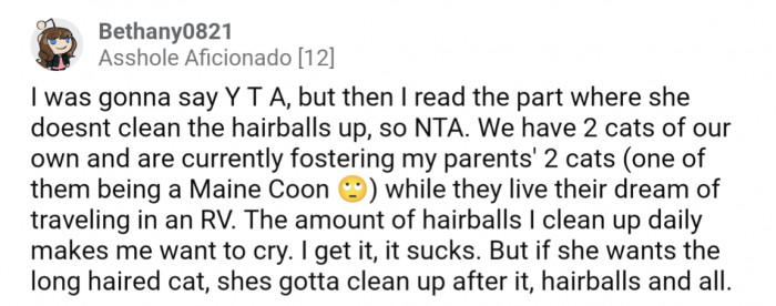 Part of owning a long hair cat is cleaning up the hairballs