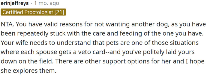 OP has pretty valid reasons for not wanting another dog