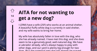 Wife Insists on Second Dog to Improve Mental Health While In-Debt Husband Feels Unsure