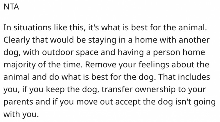 20. They should do what's best for the dog.