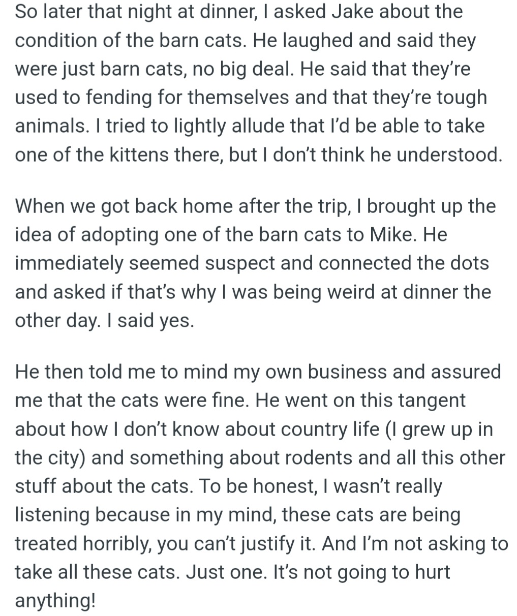 OP wants to adopt a barn cat, but her boyfriend Mike refuses, telling her to mind her own business. She's concerned about the cats' well-being and wants to provide a loving home for just one.
