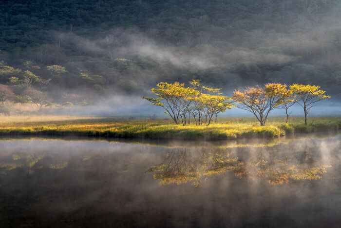 “Veil Of Mist” By Yu Suga