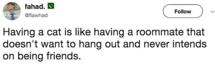 5. "I'm here just because you asked me to; be thankful."