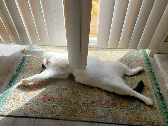 30. Oh! This is how I die