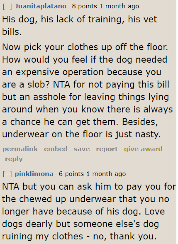 A user thinks that since the OP knows the dog likes chewing on underwear, she should stop leaving her belongings on the floor.