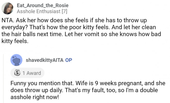 Plot twist: Wife is 9 weeks pregnant and is also throwing up daily