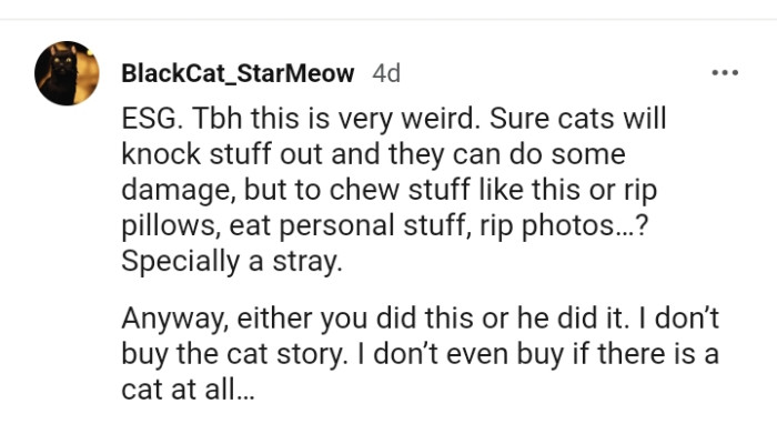 This Redditor doesn't even buy if there is a cat at all