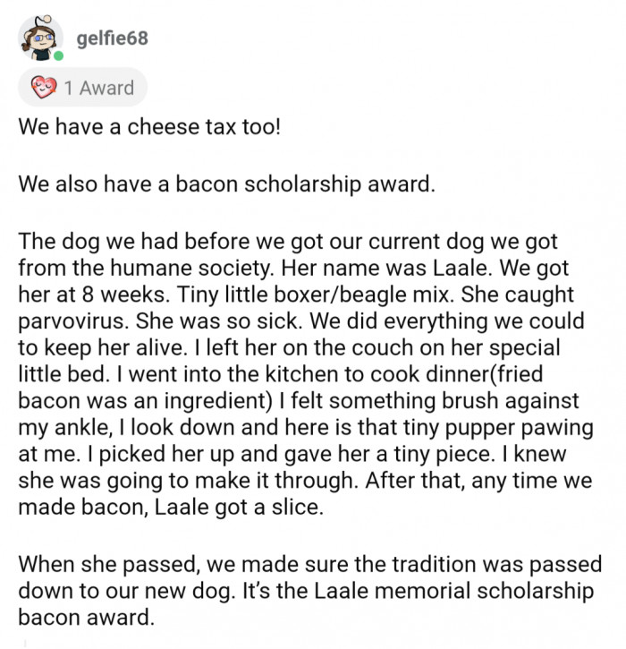 2. A bacon scholarship to go along with a cheese tax