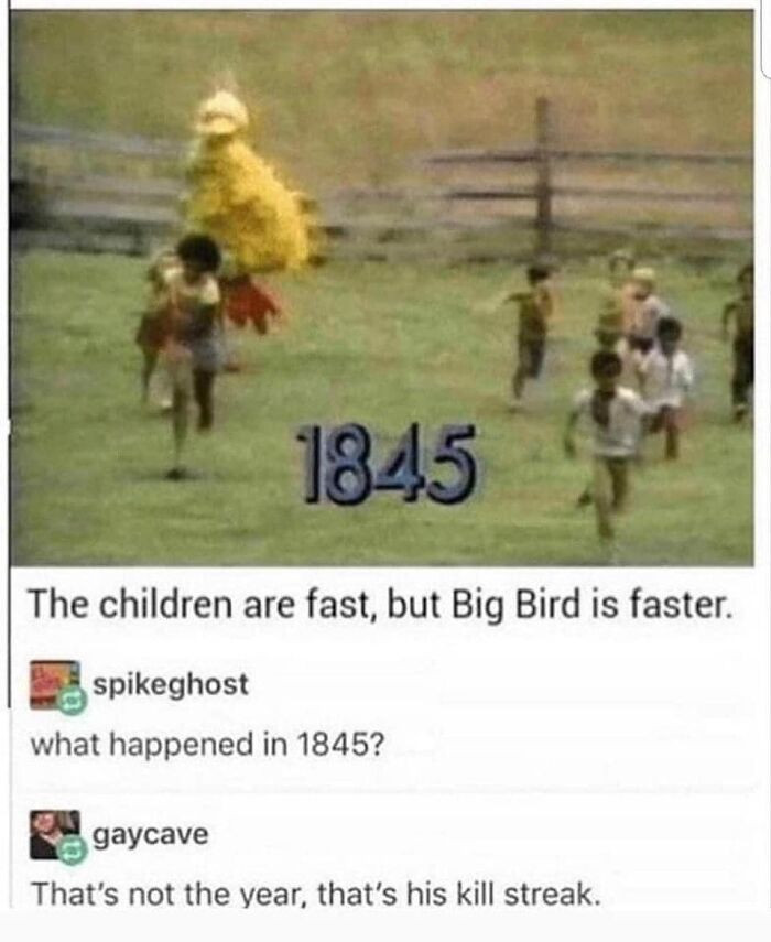 4. Big bird