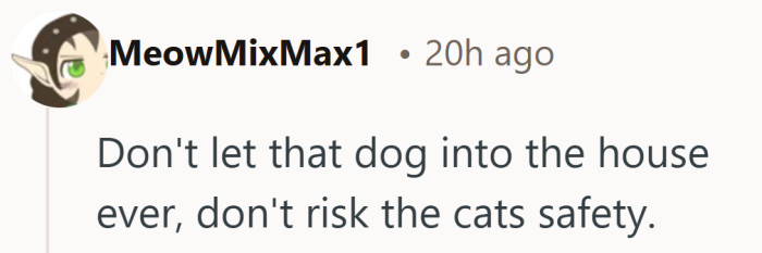 A firm stance, especially after seeing how much one visit already affected the cat.