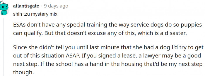 Redditors suggest OP turn to the school authorities