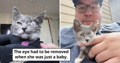 This Sweet Kitten With A Crab Eye Has Become A Majestic One-Eyed Pirate Cat