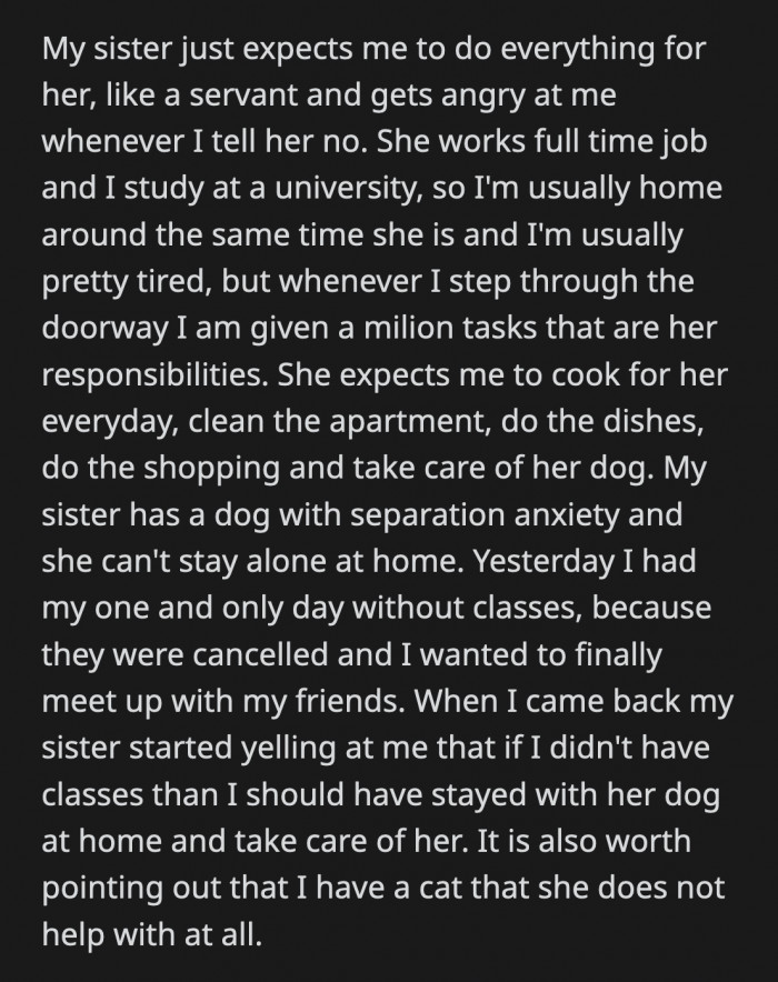 Her sister tells her to cook, clean, do the dishes, shop for groceries, and take care of her dog, who has severe separation anxiety.