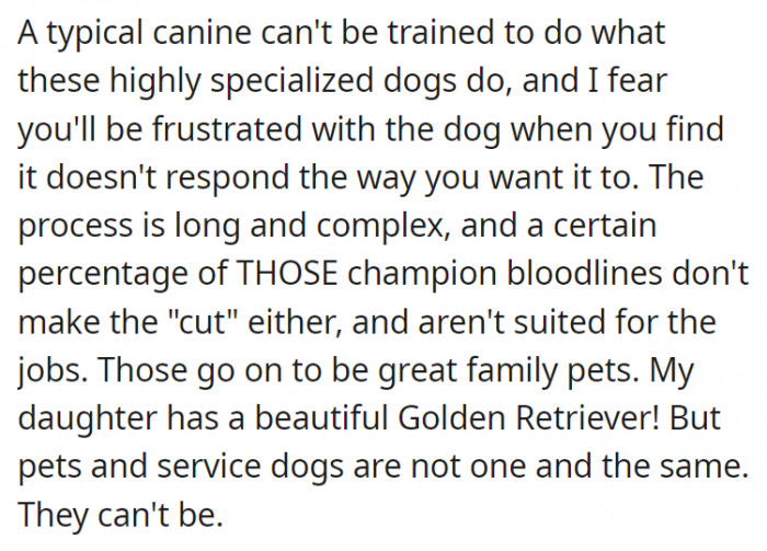 As this person said, pets and service dogs are not one and the same