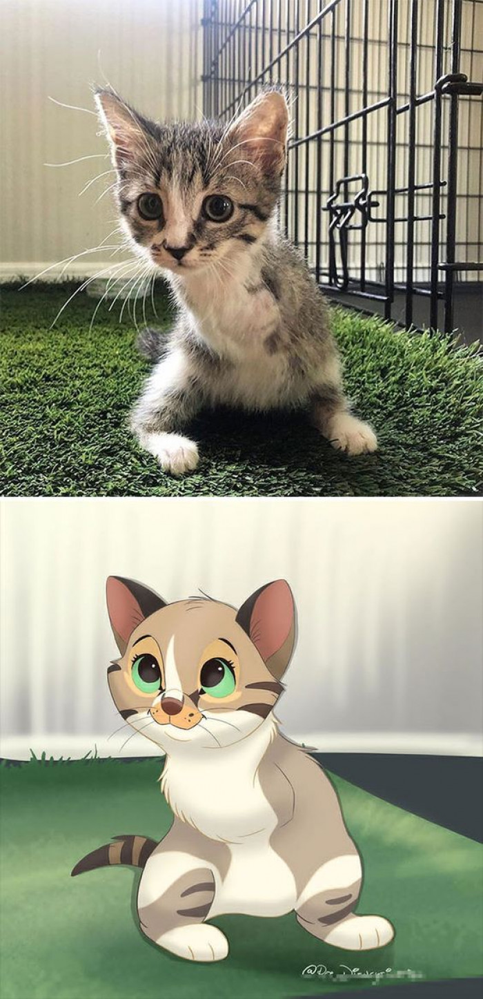 18. Little Duck had to have her front legs amputated, but now she gets around just fine!