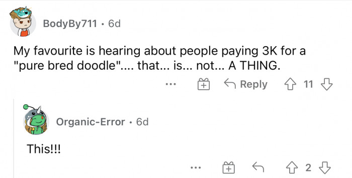 “Purebred” doodles literally can’t exist. I feel like people are just misunderstanding the doodle.