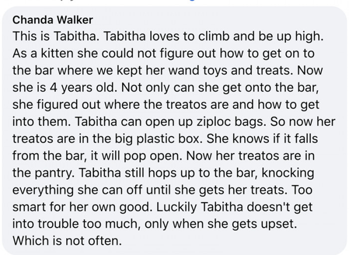 7. "Too smart for her own good"