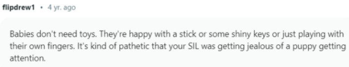 Your SIL is jealous of a cute puppy