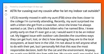 Lady Is Mad At Her Cousin For Letting Her Indoor Cat Out Without Telling Anyone Despite All The Warnings
