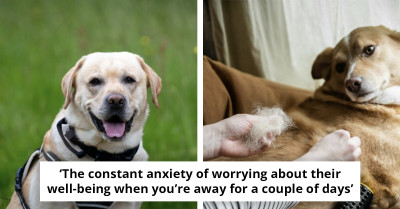 Dog Owners Get Brutally Honest About the Real Downsides of Having a Pet