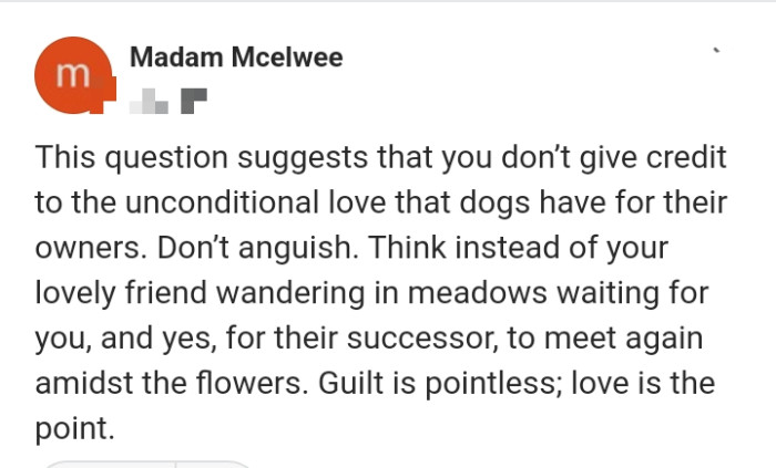 3. The unconditional love dogs give us